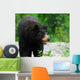 Black Bear Wall Decal