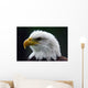 Bald Eagle Wall Decal