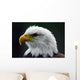 Bald Eagle Wall Decal