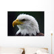 Bald Eagle Wall Decal