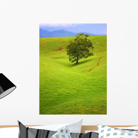 Lone Survivor Wall Decal