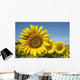 Trio Sunflowers and Bee Wall Decal