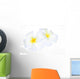 White Frangipani Flower Wall Decal