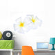 White Frangipani Flower Wall Decal