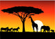 Safari Animals Silhouettes Wall Decal