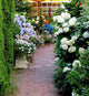 Garden Wall Decal