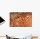 Aboriginal Rock Art Depicting Wall Decal