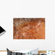 Aboriginal Rock Art Depicting Wall Decal