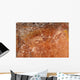 Aboriginal Rock Art Depicting Wall Decal