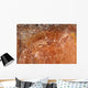 Aboriginal Rock Art Depicting Wall Decal
