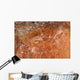 Aboriginal Rock Art Depicting Wall Decal