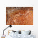 Aboriginal Rock Art Depicting Wall Decal