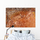 Aboriginal Rock Art Depicting Wall Decal