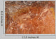Aboriginal Rock Art Depicting Wall Decal