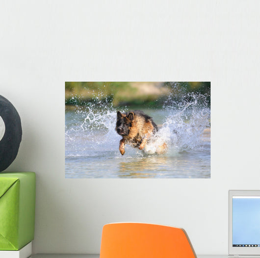 German Shepherd 181 Wall Decal
