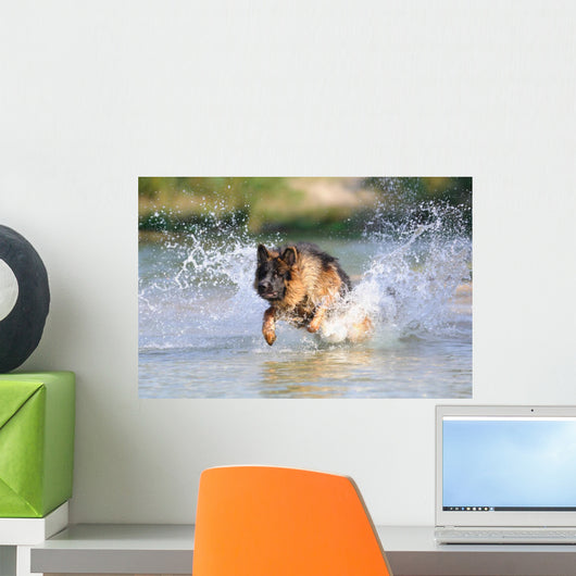 German Shepherd 181 Wall Decal