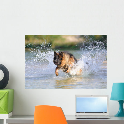 German Shepherd 181 Wall Decal