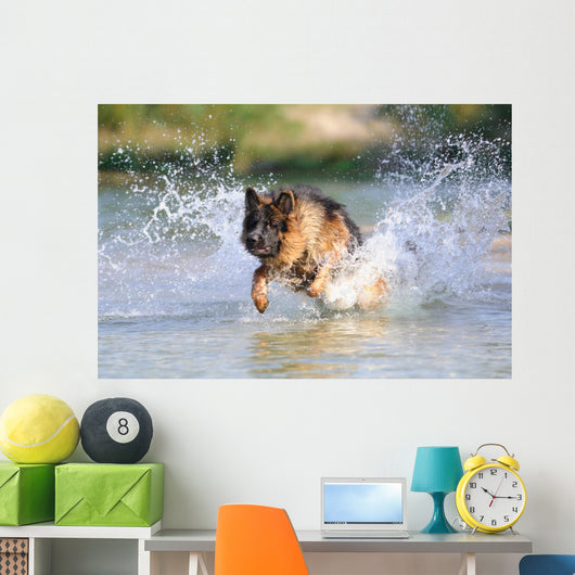 German Shepherd 181 Wall Decal