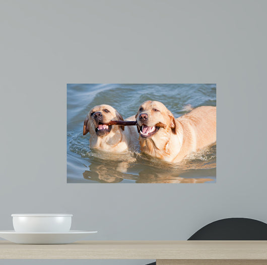 Couple Dogs Sea Wall Decal