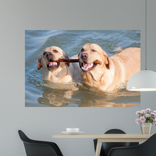 Couple Dogs Sea Wall Decal