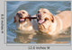 Couple Dogs Sea Wall Decal