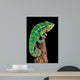 Chameleon Drift Wood Wall Decal