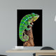 Chameleon Drift Wood Wall Decal