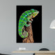 Chameleon Drift Wood Wall Decal