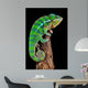 Chameleon Drift Wood Wall Decal