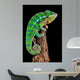 Chameleon Drift Wood Wall Decal