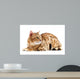 Cats Bengal Breed Wall Decal
