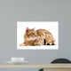 Cats Bengal Breed Wall Decal