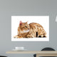Cats Bengal Breed Wall Decal