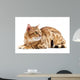 Cats Bengal Breed Wall Decal
