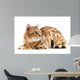 Cats Bengal Breed Wall Decal