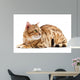 Cats Bengal Breed Wall Decal