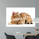 Cats Bengal Breed Wall Decal