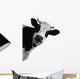 Funny Cow Peeking Wall Decal
