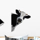 Funny Cow Peeking Wall Decal