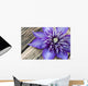 Clematis Multi Blue Close-up Wall Decal