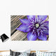 Clematis Multi Blue Close-up Wall Decal