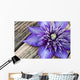 Clematis Multi Blue Close-up Wall Decal