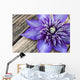 Clematis Multi Blue Close-up Wall Decal