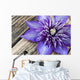 Clematis Multi Blue Close-up Wall Decal