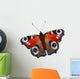 Illustration European Peacock Butterfly Wall Decal