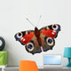 Illustration European Peacock Butterfly Wall Decal