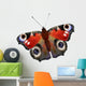 Illustration European Peacock Butterfly Wall Decal