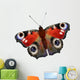 Illustration European Peacock Butterfly Wall Decal