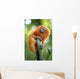 Golden Lion Tamarin Wall Decal