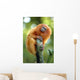 Golden Lion Tamarin Wall Decal